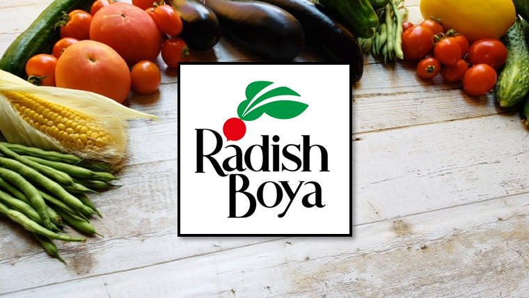 激安 らでぃっしゅぼーやのお試しセットはポイントサイト経由で申込めば一番お得 金持ちマイラー貧乏マイラー ほったらかしでマイルを貯める